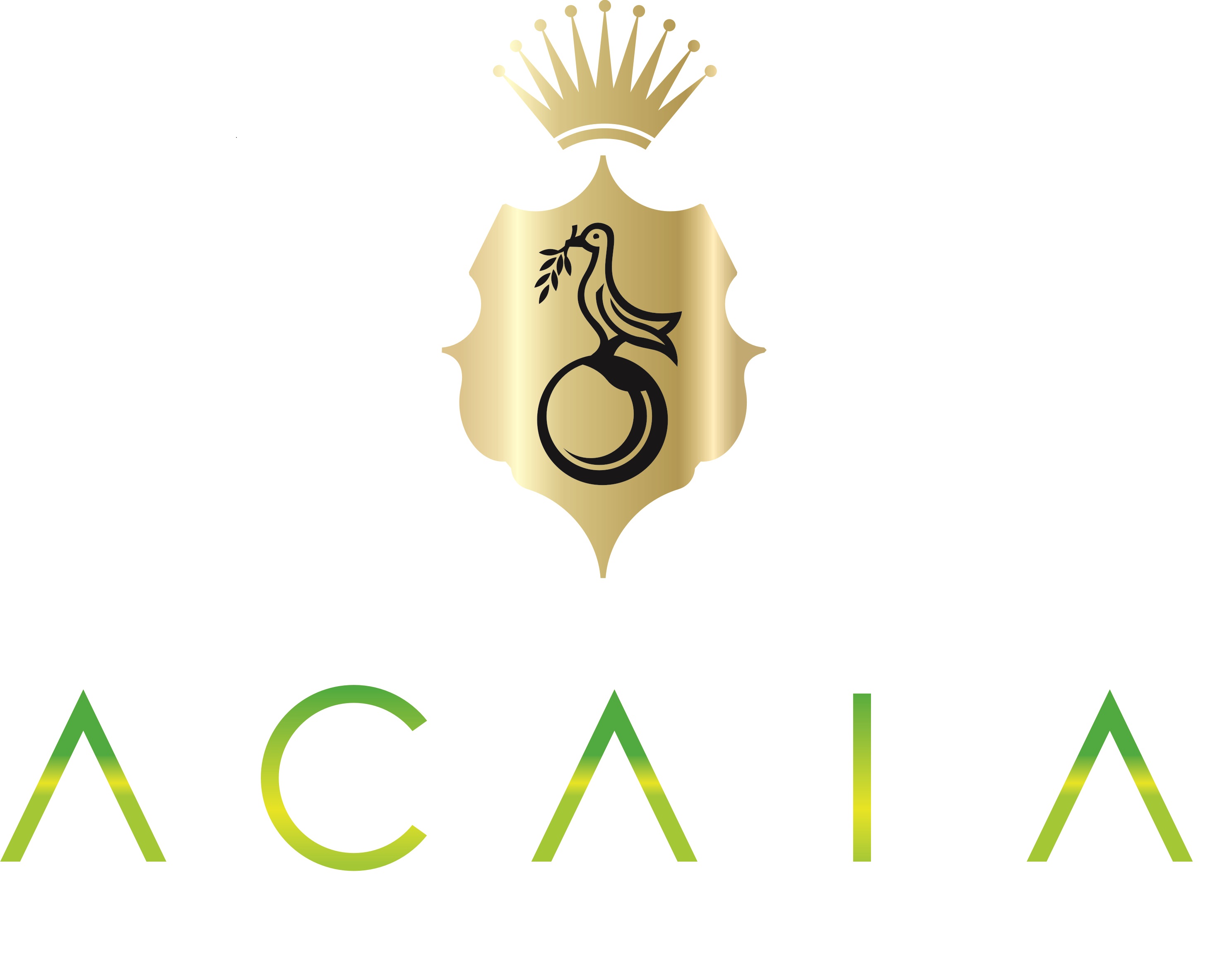 acaia_logo- p