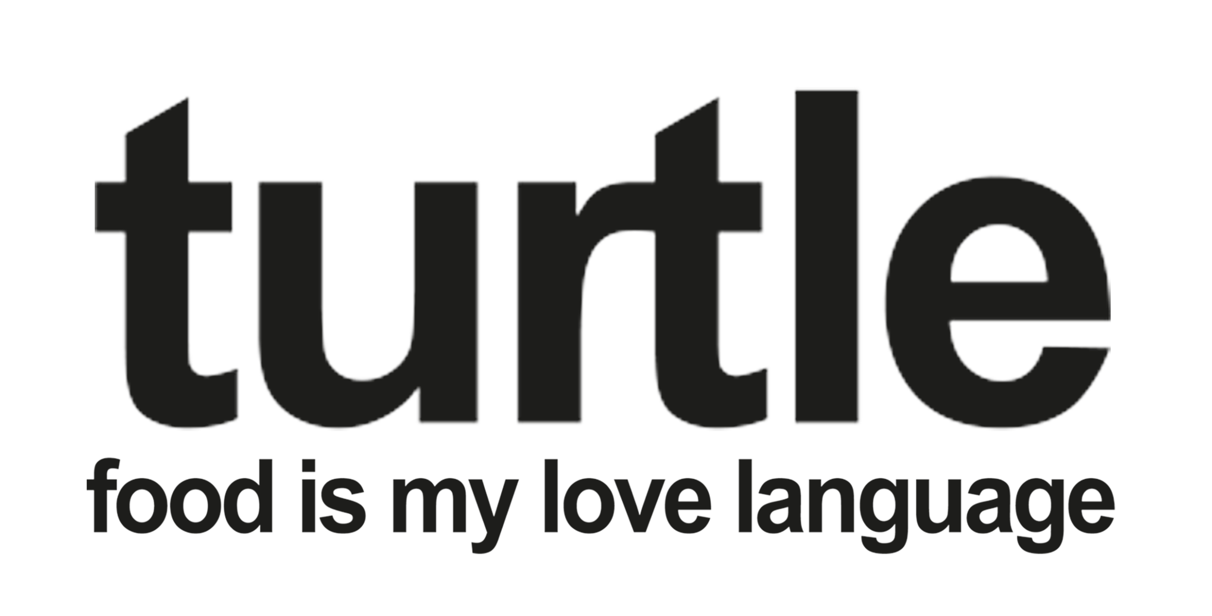 TURTLE LOGO